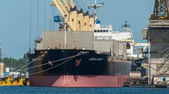 BROOKLYN-TRADING продовжує нарощувати темпи експорту українського зерна 0